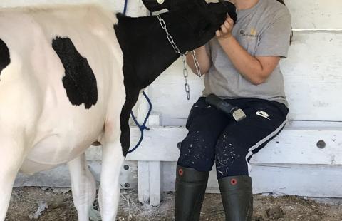 4-H member with cow