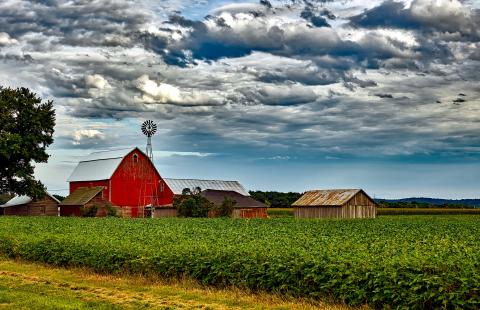 Efficient Fabric-Covered Beef Barns - Britespan