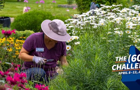 Master Gardener volunteer kneels in a beautiful flower garden with gardening tools