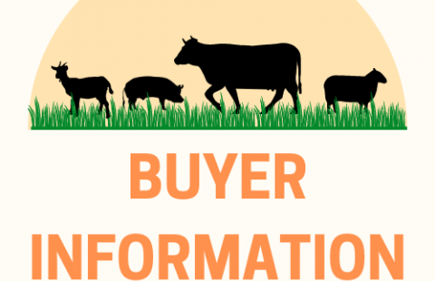 goat, pig, steer, sheep illustration with Buyer Information words
