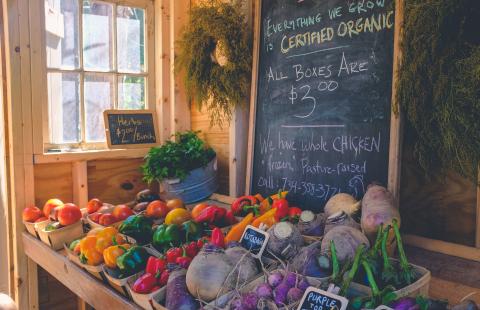 Fresh vegetables displayed at farm stand