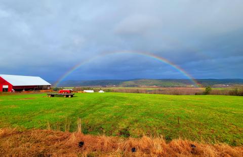 Farm field scene with beautiful rainbow
