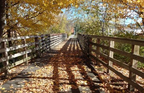 Bridge with leaves in fall