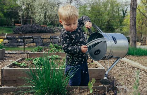 Kid watering plants