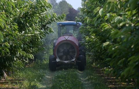 Tractor with sprayer in orchard