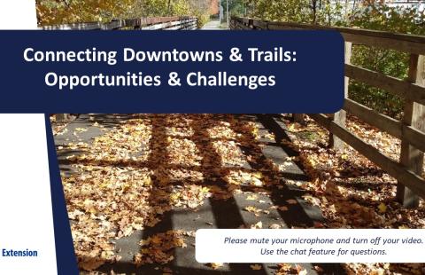 Cover page of webinar slide presentation, title bar with walkway covered in autumn leaves in the background