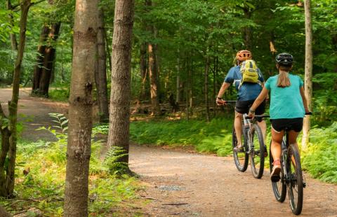 Two people riding bikes on a trail through the woods