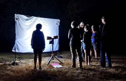 People standing in front of lit up sheet at night