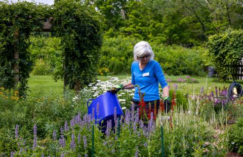 Woman holding bucket in garden of flowers