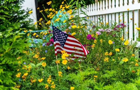 American flag in a garden