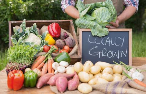 display of vegetables with a chalkboard sign that reads "locally grown", person behind display holding a head of cabbage