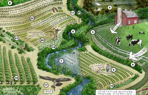 interactive story map