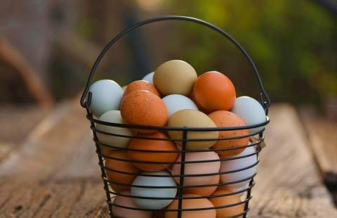 basket of eggs