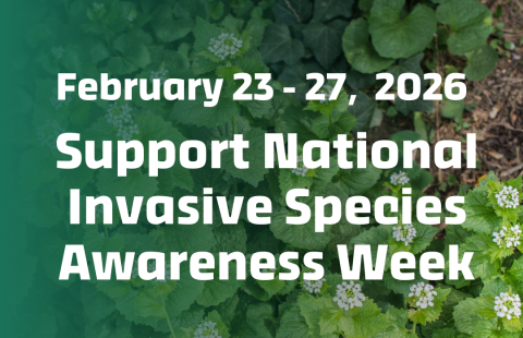 Graphic with a leafy green plant background and white text reading “February 23–27, 2026 Support National Invasive Species Awareness Week.” At the bottom is the NAISMA NISAW logo with the words “National Invasive Species Awareness Week."