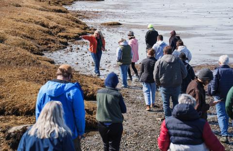 A group of people walking along a rocky shoreline covered with seaweed and debris. The scene features individuals dressed in jackets and hats, suggesting cool weather, with one person in an orange jacket leading the group and pointing at something on the shore.