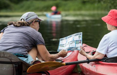 Women in kayaks identifying invasive plants