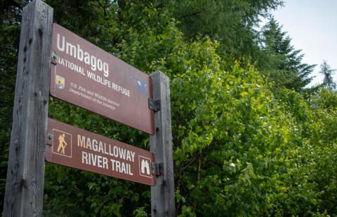 A Sign Reading "Umbagog National Wildlife Refuge, Magalloway River Trail"