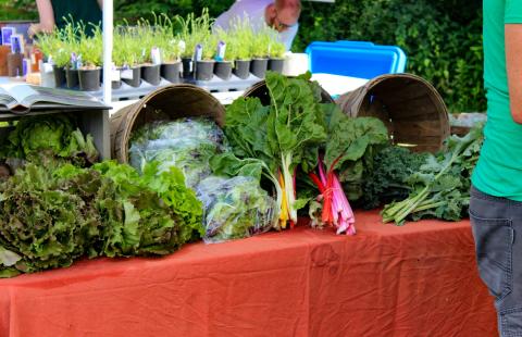 Fresh greens and seedlings being sold at a farmers market.