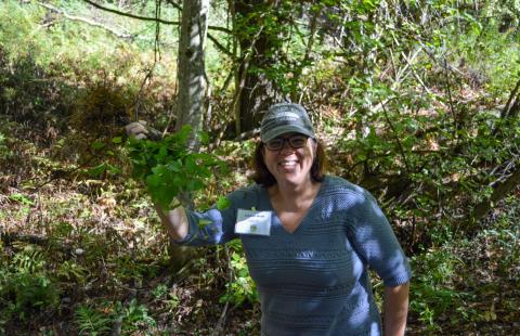 Woman holds up invasive plant