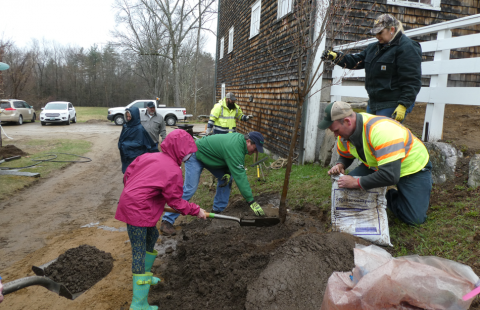 Volunteers planting a tree at Canterbury Shaker Village