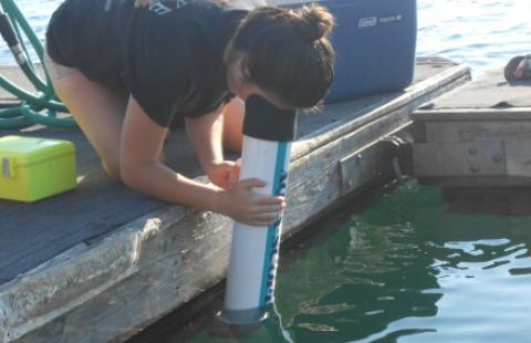 Lakes Lay Monitoring Program volunteer taking a Secchi disk reading to measure water clarity
