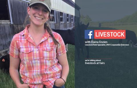 Elaina Enzien standing next to a barn with livestock