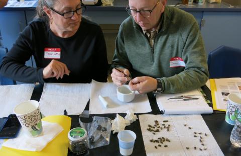 Two beekeepers prepare their bee samples for analysis of nosema