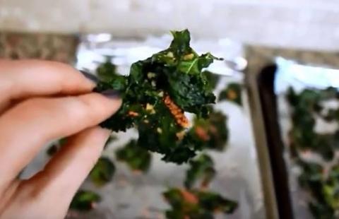 Holding a kale chip with seasonings and Parmesan cheese.
