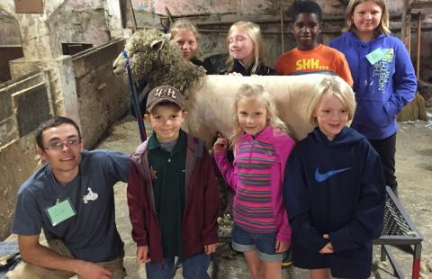 Kids at Sheep Workshop