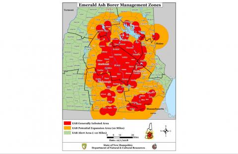 current map of known emerald ash borer infested areas in New Hampshire