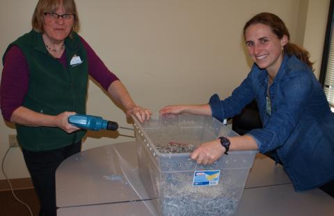 Mary Winchell and Emma Erler preparing a worm bin at the Ed Center
