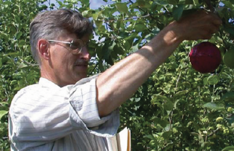 UNH Cooperative Extension's Alan Eaton is pictured here. He is wearing glasses and his shirt sleeves are rolled up. He is picking an apple off a tree.