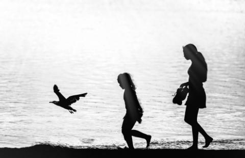 Two children and a gull at the beach