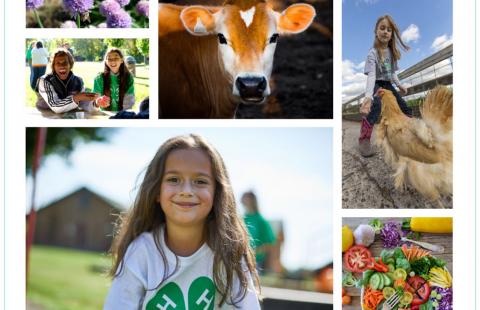 Collage of photos featuring kids, food, chicken and cow