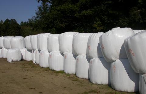 Stack of wrapped round bales