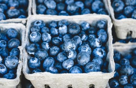 Containers of fresh blueberries.