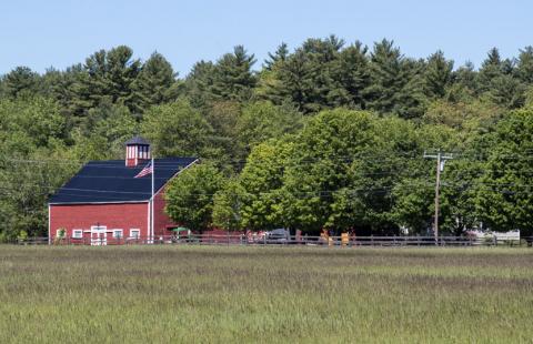 Medium-distance photo of Branch Hill Farm in Milton. A red barn is located on the left; there is a field of grass in the foreground and trees in the background.