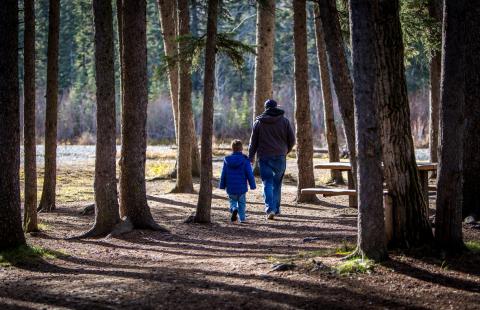 father and son walking in the woods