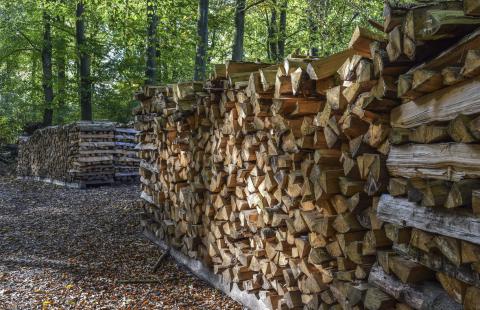 stacked firewood
