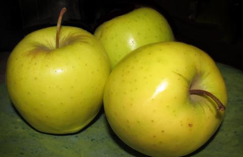 Three whole golden delicious apples.