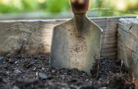 garden trowel in soil