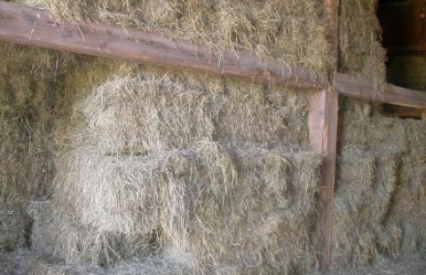 hay stacked in a barn