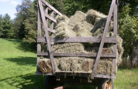 a wagon in a field loaded with hay