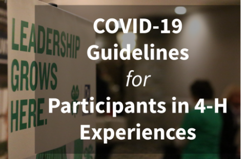 covid guidelines for participants graphic