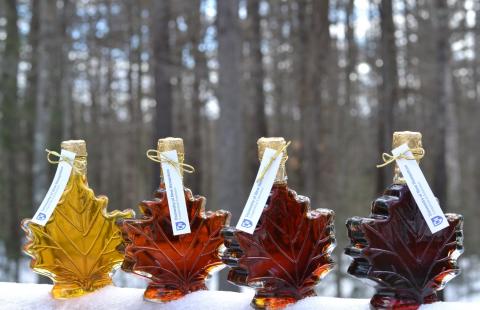 maple syrup grades in glass containers