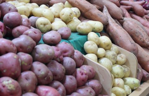 Rows for fresh red potatoes, white potatoes and sweet potatoes.