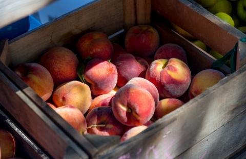 Wooden box full of fresh peaches.