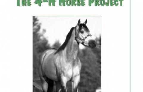 Picture of 4-H horse manual cover