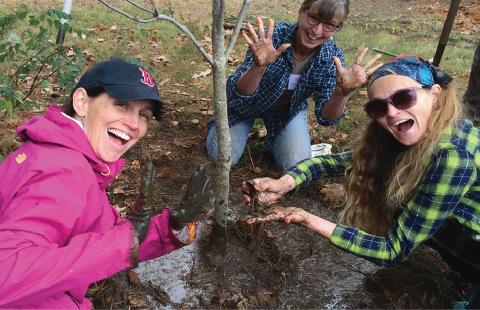 Natural Resources Stewards Planting a Dogwood Tree in New Hampshire