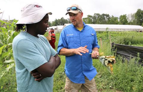 two men are standing in a farm's field. around them are green plants. the man on the left has his arms crossed and is listening to the man on the right. the man on the right is wearing a blue shirt and holding dead leaves. he is explaining something to the man on the left.